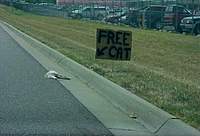 Name: FreeCat.JPG
Views: 333
Size: 24.7 KB
Description: 
