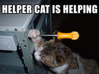 Name: helpercat.jpg
Views: 50
Size: 24.8 KB
Description: 
