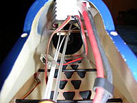 hawk 004.jpg