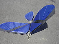 Name: DSC00347.jpg
Views: 44
Size: 302.2 KB
Description: 