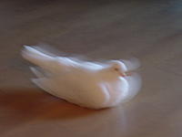 Name: DSC00320.jpg
Views: 51
Size: 90.3 KB
Description: 