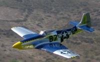 Name: DAM51.jpg
Views: 174
Size: 42.4 KB
Description: 65" Durable Aircraft Models P-51