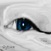 sybex_1's Avatar