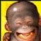 madhun1's Avatar