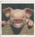 FlyingPig's Avatar