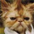 stephamag's Avatar