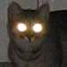 Pouncer's Avatar