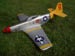 RCMustang