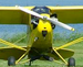 Tail Wheel's Avatar