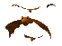 Toyranosaur's Avatar