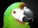 Mark Gund's Avatar