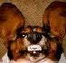 wespe's Avatar