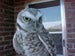 daveWCO's Avatar