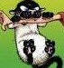 imack's Avatar
