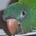 ArnoldC's Avatar
