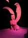 cincy's Avatar