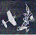 TailTwister's Avatar