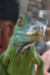 leliommarino's Avatar