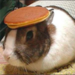 caplan's Avatar