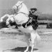 Lone Ranger's Avatar