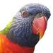 scruffy1's Avatar