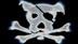 Scurvy Dog's Avatar