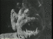 luvtoav8's Avatar