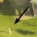 jswayze's Avatar