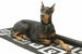 Tedstrickland's Avatar
