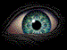 �nima's Avatar