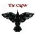 Crow Boy's Avatar
