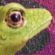 Stamp's Avatar