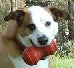 Buster Brown's Avatar