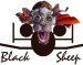 RCBlackSheep's Avatar