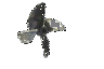 BrushlesHeaven's Avatar