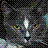 pumi's Avatar