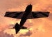 Backwing's Avatar