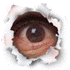 Pigs dont fly's Avatar