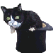 Redbeardrc's Avatar