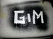 Gimmer's Avatar