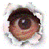 Extra 3D's Avatar