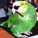 skymaxy's Avatar
