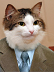 flyinglog's Avatar