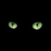 BlackCat_'s Avatar