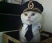 nybeechpilot's Avatar