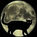 FullmoonCat's Avatar