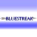 Bluestreak007's Avatar