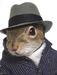 SwimSquirrel's Avatar
