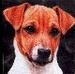 Terrier's Avatar