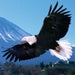 MumblinBerk's Avatar
